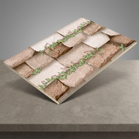 Carreaux muraux en céramique de haute qualité, aspect naturel, design élégant, finition brillante, 300x450 mm, entreprise de carreaux Arkiton.