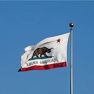 Cờ California Tùy Chỉnh Ba Lớp In Kỹ Thuật Số Cỡ Vừa Hoặc Lớn Nhỏ Chuyên Nghiệp Cờ Bay Ngoài Trời Thiết Kế Bất Kỳ 3x5ft