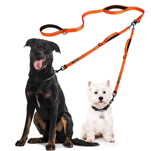 New Design Adjustable Reflective Nylon <b>Dog</b> Leash Suitable for Large <b>Dogs</b> <b>Double</b>-<b>Leaded</b> <b>Dog</b> Leash - Product Image 1