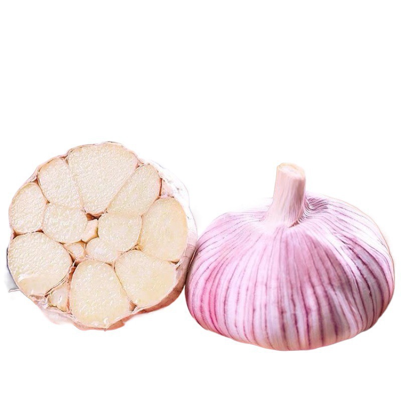 Best Price on White Purple Fresh Garlic Mixed Spices & Seasonings Tax-Free and Ready to Ship