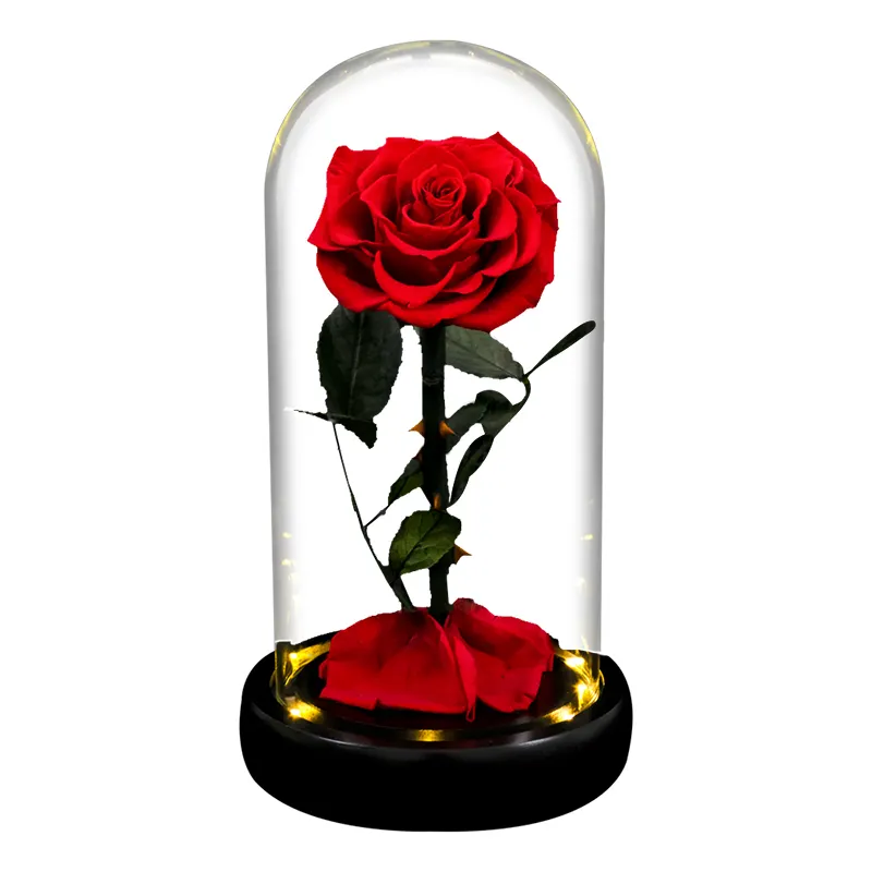 Christmas Valentine's Day Gifts Led Light Forever Eernal Natural Roses Preserved Real Roses in Glass Dome Gift for Women Girls