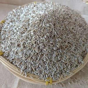 Romaine Lete produits frais pour une alimentation saine - Product Image 1