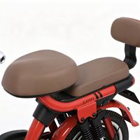 Vélo électrique biplace 48V 500W, cadre en acier haute teneur en carbone, coussin confortable, vélo électrique urbain pour adultes, service OEM