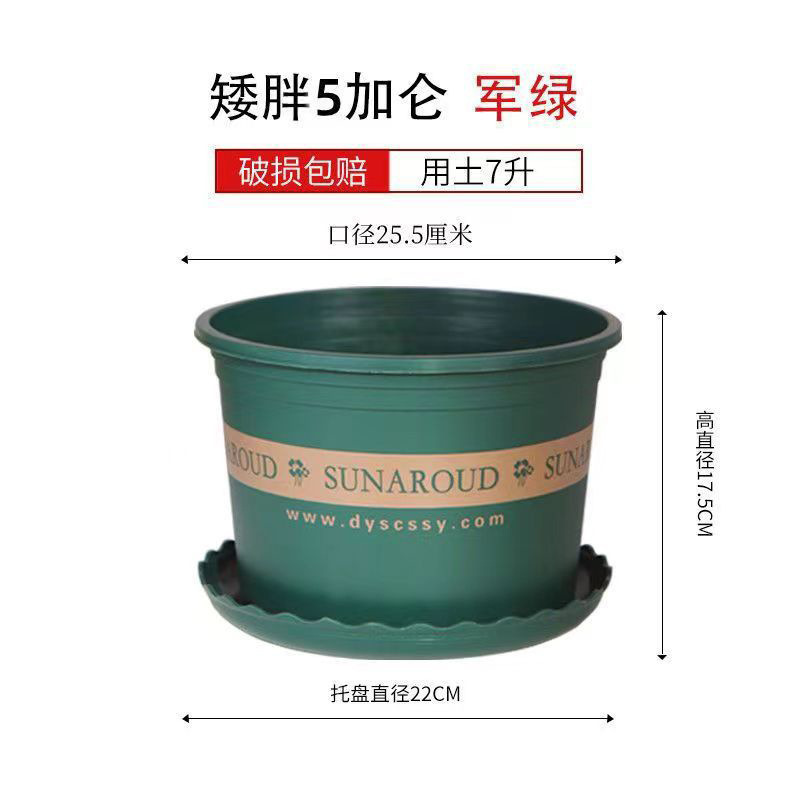 Court Taille 5 [Diamètre 25,5 cm] 1 pièce