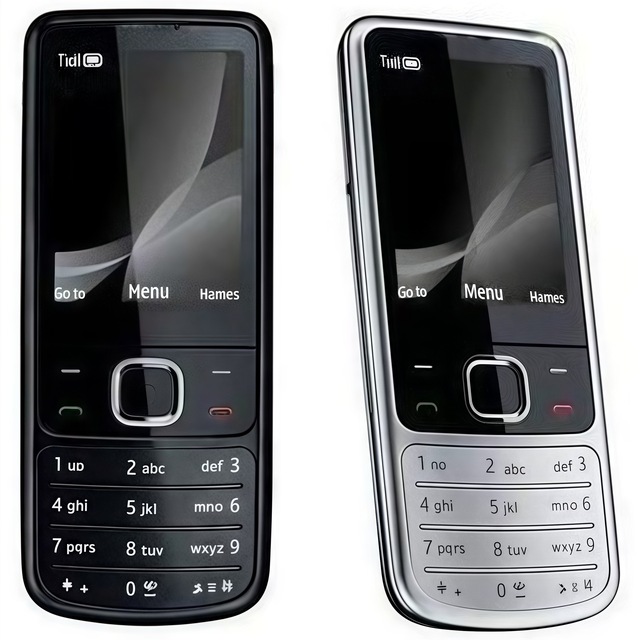 Wholesale Low-priced Classic Original Multi-language Supported 6700C GSM 2G Dual SIM Dual Standby Mobile Phone