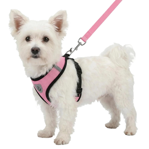 Custom Adjustable Training Soft Breathable Mesh Dog Harness Vest Nylon Traction Outdoor Walking Cat Dog Harness Set - Product Image 6