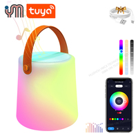 Lampe d'ambiance portable avec chargeur sans fil contrôlé par APP pour téléphone avec haut-parleur Lampe de haut-parleur sans fil Twilight