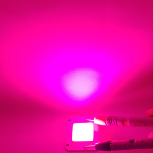 Công suất cao 50 wát <span class=keywords><strong>LED</strong></span> chip COB đèn DC12V/32V hạt ánh sáng Diode trắng ấm Trắng lạnh trắng quang phổ đầy đủ <span class=keywords><strong>LED</strong></span> bảng điều chỉnh - Product Image 6