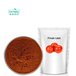 工場食品グレードカラーフレーバー水溶性スプレー乾燥トマトパウダー - Product Image 3