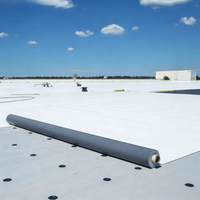 Membrane HDPE de haute qualité, imperméable, pour toiture, sous-couche de toiture, sols de garage, sous-sols et réservoirs de métro