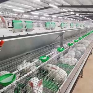 Vente en gros 2 étages 24 cellules <span class=keywords><strong>cages</strong></span> à lapins afrique du sud <span class=keywords><strong>cages</strong></span> à lapins commerciales industrielles pour cage à animaux - Product Image 4