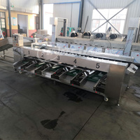 Automatische gemotoriseerde fruit- en groentewas-, schil- en sorteermachine, voedselveilige roestvrij staal, 1-3 ton/uur, 3-8