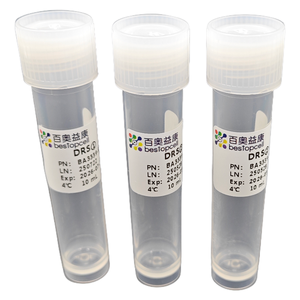 Kit zur Entfernung von Schmutz und Verunreinigungen bei toten Zellen (10 TEST) für die Forschung ISO 9001 BA3339 - Product Image 3