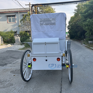 Electric Sightseeing Vehicle Perfect for Amusement Parks Horse Carriage Horse Drawn Carriagefor Sale - Product Image 5