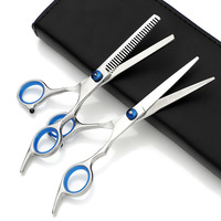 Hot 10pcs Set Pro Kit de ciseaux de coiffure DIY Ciseaux de coupe de cheveux Brosse à cheveux et peigne de toilettage Outil de coiffure de barbier