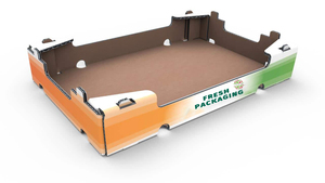 Biểu Tượng Tùy Chỉnh Bán Buôn New Arrival FO Đơn Giản Thanh Lịch Gấp Hộp Giấy Cho Trái Cây Xoài Bao Bì Bảo Vệ Ba Nho Hộp - Product Image 5