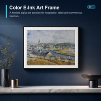 Pantalla de Tinta Electrónica a Todo Color MWE OEM ODM con Tecnología Spectra 6 (E6), Venta al por Mayor de Papel Electrónico a Todo Color de Bajo Consumo para Marcos de Fotos Inteligentes