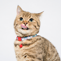 UFBemo — ensemble de 2 pièces en Polyester anti-lumière pour chiot, avec collier clochette et accessoires pour animaux de compagnie