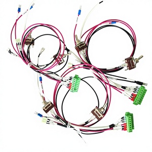 Motosiklet Otomobil Elektronik Ekipmanları İç Güç Kaynağı Kontrol Devreleri IP66 Dereceli Özelleştirilmiş Kablo Demetleri - Product Image 1