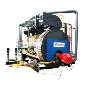 Chaudière à vapeur au Gaz Syngas, pour la purification du lait