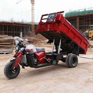 Tricycle à Châssis Robuste à Cinq Roues pour le Transport de Marchandises, Idéal pour la Construction et l'Agriculture - Product Image 1
