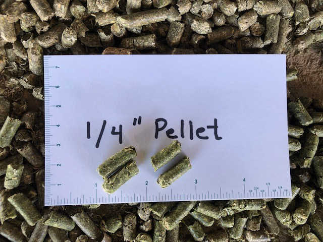 Alfalfa Cubes and Pellets for Rabbits Guinea Pigs Small Animals Animal ...