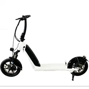 14inch 48V 10.4A 500W Mini E-scooter Electric Scooters TDU Brand DDP Shipment Available