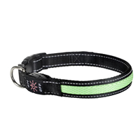 Collier de sécurité pour animaux de compagnie, résistant aux intempéries, réglable, rechargeable par USB, lumineux, collier LED pour chien
