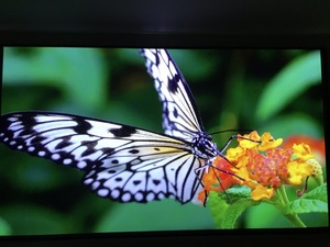 <span class=keywords><strong>Telon</strong></span> 4k de 110 pulgadas 16:9 ALR luz ambiente rechazar día lenticular Pantalla de proyector para mascotas de cristal marco fijo sólo alr pantalla - Product Image 5