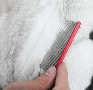 Sisir anjing besi tahan karat profesional sikat kecantikan rambut multiwarna penghapus kutu Yorkshire perlengkapan perawatan kucing peliharaan berbulu panjang - Product Image 3