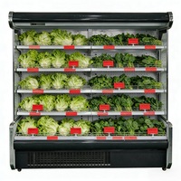 Réfrigérateur commercial en vente chaude, vitrine réfrigérée pour boissons, légumes, viande, fruits, supermarché