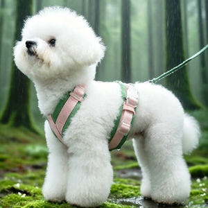 Custom Other Premium 5 Uses Nylon Cotton <b>Dog</b> Bungee Leash Pet <b>Collars</b> & Leashes Harnesses With Bibs Poop Bag Luxury Set - Product Image 3