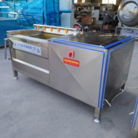 Machine à laver les pommes de terre à rouleaux brossés automatiques, équipement de nettoyage des légumes-racines, machines de transformation alimentaire