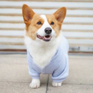 맞춤형 강아지 후드티 스웨트셔츠 대형견 고급 애완동물 의류 순면 봄 무지 승화 후드티 애완동물용 - Product Image 3