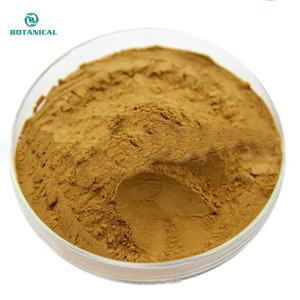 Натуральный экстракт морского огурца, порошок морского огурца, лидер продаж, экстракт порошка морского огурца - Product Image 2