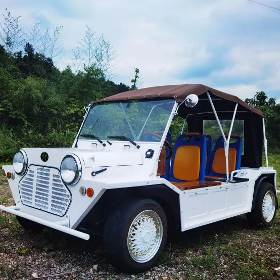 China Moke 4-Sitzer Offroad-Reifen 96V Vintage Elektro Aluminium Elektro Power Mini Moke Auto