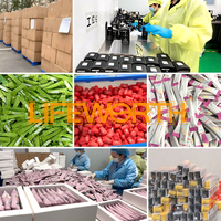LIFEWORTH Mélange à boisson en poudre électrolytique de soutien naturel sans sucre