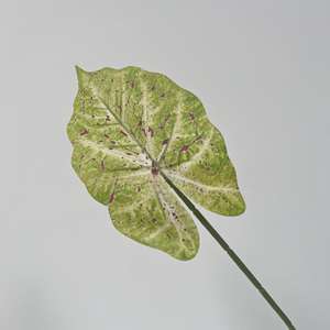 Vegetación artificial a granel para floristas con planta de aire de bambú de la suerte de helecho espárrago y <span class=keywords><strong>plantas</strong></span> verdes realistas de hoja de Alocasia - Product Image 4