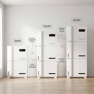 Système solaire tout-en-un 6KW 10kWh 51.2V 200Ah Batterie LiFePO4 Slim 18.3cm Hybride CAN USB 10ms UPS 500V MPPT ESS 6000 - Product Image 6
