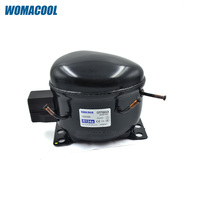 Compresseur hermétique SIBERIA GFF66AA L/MBP 220-240V/50Hz R134a 1/4HP pour la réfrigération