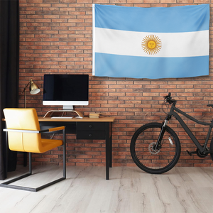 Bandera de Argentina Personalizada de Poliéster para Exteriores, Bandera Nacional Argentina para Colgar en la Pared con Ojales de Latón - Product Image 4