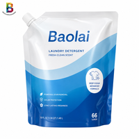 Pochette à bec verseur personnalisée avec logo imprimé, anti-odeur, 500 ml, 750 ml, 1000 ml, pour emballage de détergent à lessive solide ou liquide
