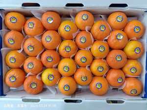 Oranges fraîches 10 kg, agrumes avec une durée de conservation d'un an, provenant du Jiangxi, Chine - Product Image 4