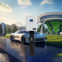 Chargeur cc 20/30kw GB/T CCS2/CCS1 Solution de station de charge rapide professionnelle Ev pour les espaces publics d'affaires
