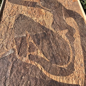 Pintura abstracta de pared personalizada para habitación, retrato de corcho Natural respetuoso con el medio ambiente, imágenes colgantes - Product Image 5