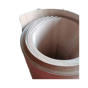 Miglior prezzo flessibile 4x8 2mm 3mm foglio di compensato E1 Standard moderno Desgin Paulownia Bargol Core compensato consegna veloce dalla Cina - Product Image 2