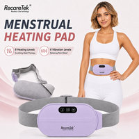 Almohadillas Térmicas para Cólicos Menstruales, Producto de Masaje, Suministro para el Cuidado de la Salud, Dispositivo Portátil para el Hogar, Equipo de Confort, Artículo de Uso Diario, Kit de Salud