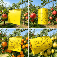 Vliegenvanger met kleefmiddel voor fruitvliegen - Fabrikant maakt fruitvliegenvangers op maat in diverse formaten - Fruitvliegenvanger