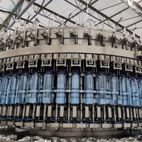 Plante aquatique minérale complètement automatique/machine d'embouteillage de l'eau pour l'eau pure et minérale