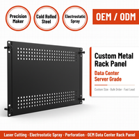 Panneau vierge perforé en acier laminé à froid, pulvérisé électrostatiquement, pour rack de serveur de centre de données, fabriqué avec précision